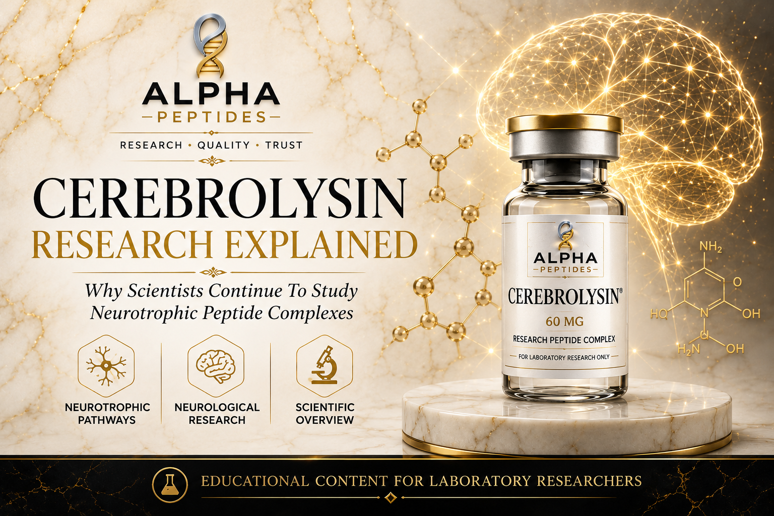 Cerebrolysin Research Explained: Why Scientists Continue To Study Neurotrophic Peptide Complexes