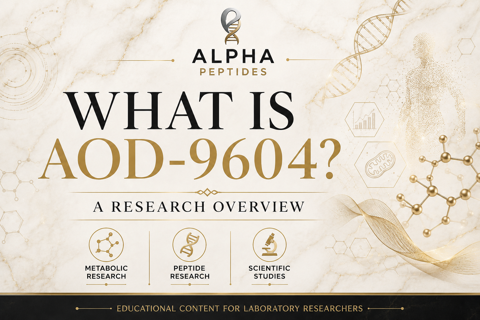 What Is AOD-9604 research overview article by Alpha Peptides covering metabolic research, peptide science and laboratory studies.