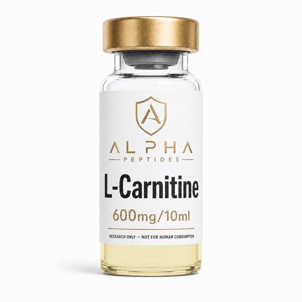 L-Carnitine 600mg / 10ml