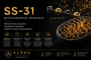 SS-31 Research Overview: Mitochondrial Protection & Study Notes